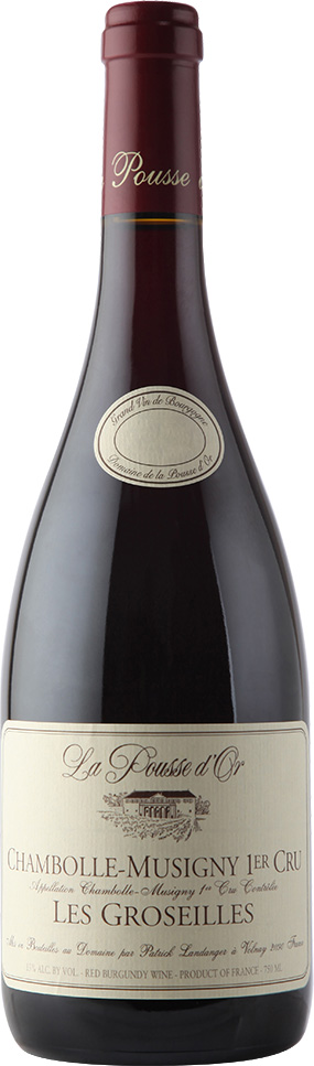 Chambolle-Musigny « Groseilles » 1er Cru 2013